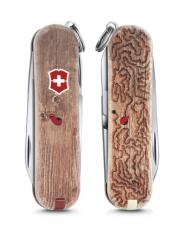 Victorinox & Wenger-Classic Limited Edition 2017 Woodworm
